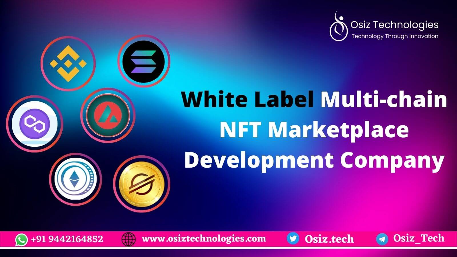 Multi-chain NFT Marketplace Development Company